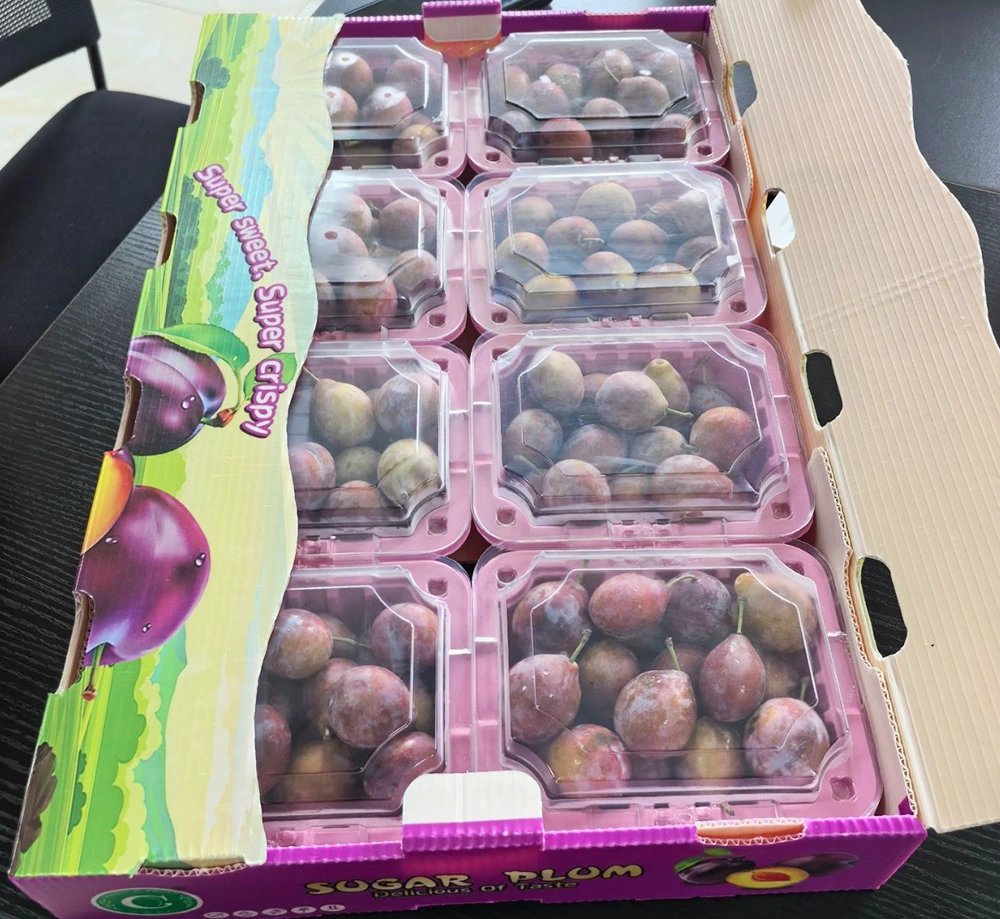 ¿Cuáles son las principales características y ventajas de las cajas de placas huecas?