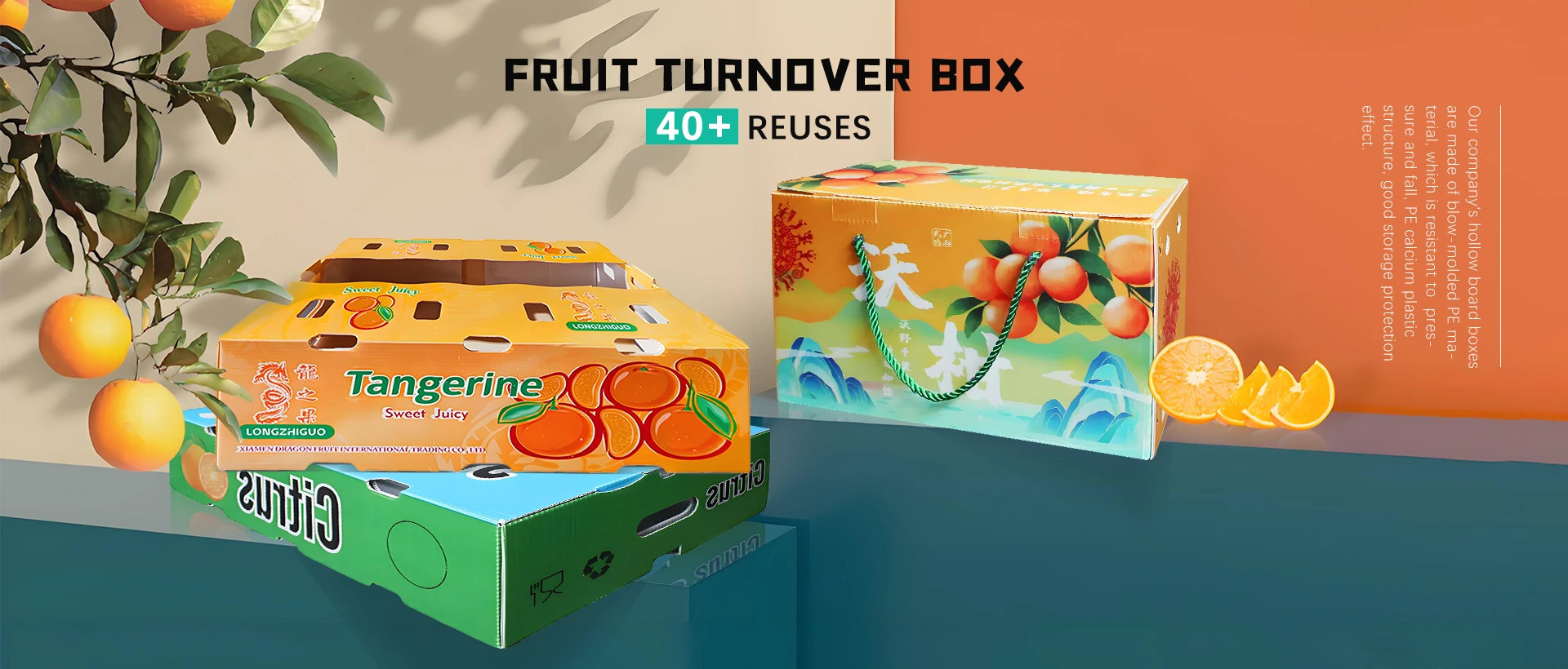 Proveedor de caja de facturación de frutas