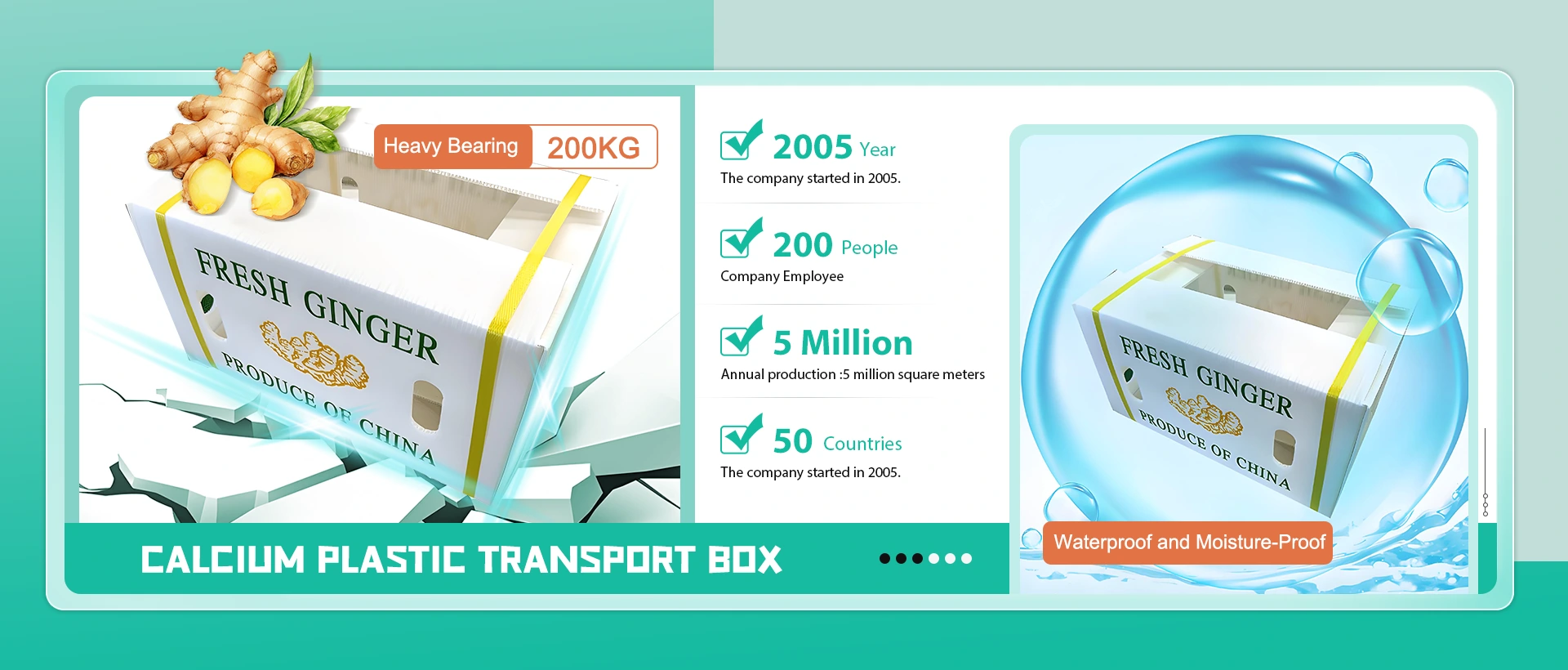 China Caja de transporte de plástico de calcio Fabricante