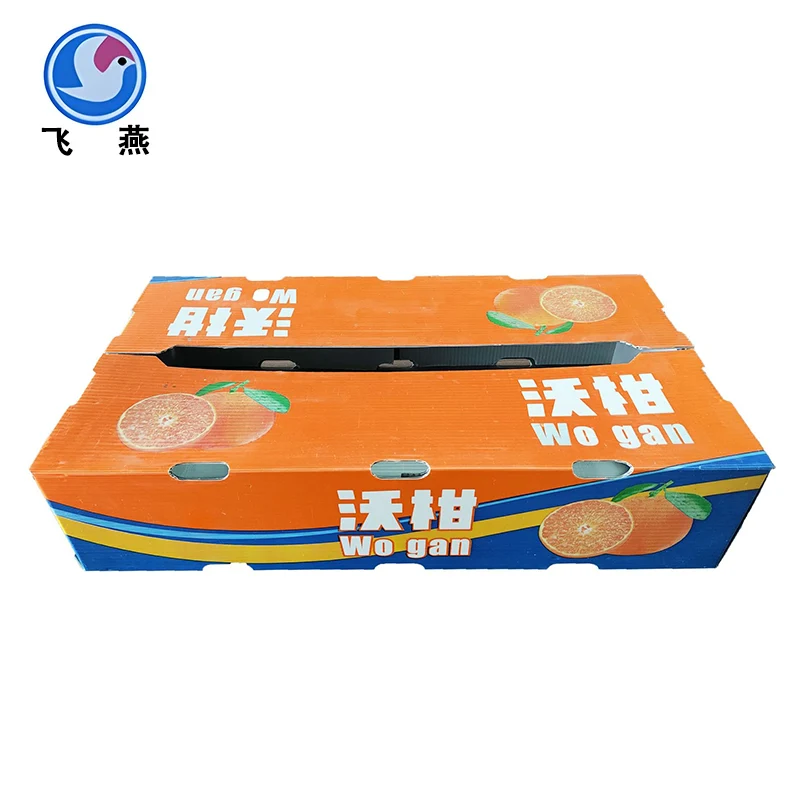 Caja de rotación de plástico de calcio de fruta: un poderoso asistente para extender la vida útil