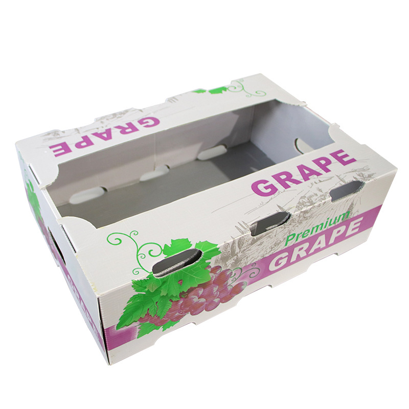 Cajas de tablero hueco: una elección excepcional para el empaque innovador: ¿cómo elegir la caja de tablero hueco adecuada para usted?