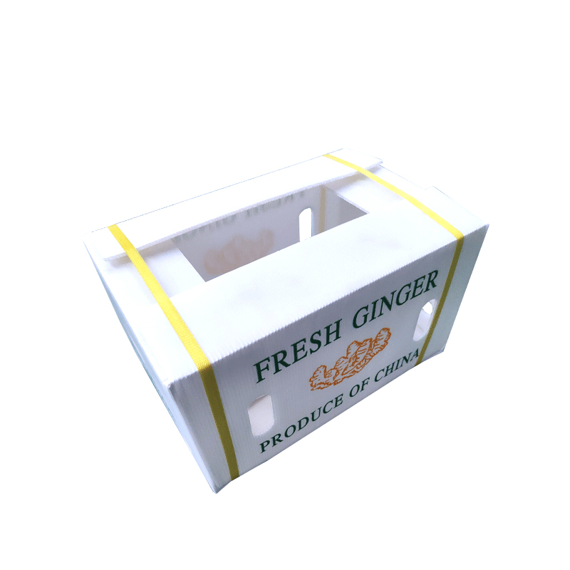 ¿Cómo elegir cajas de transferencia de frutas?