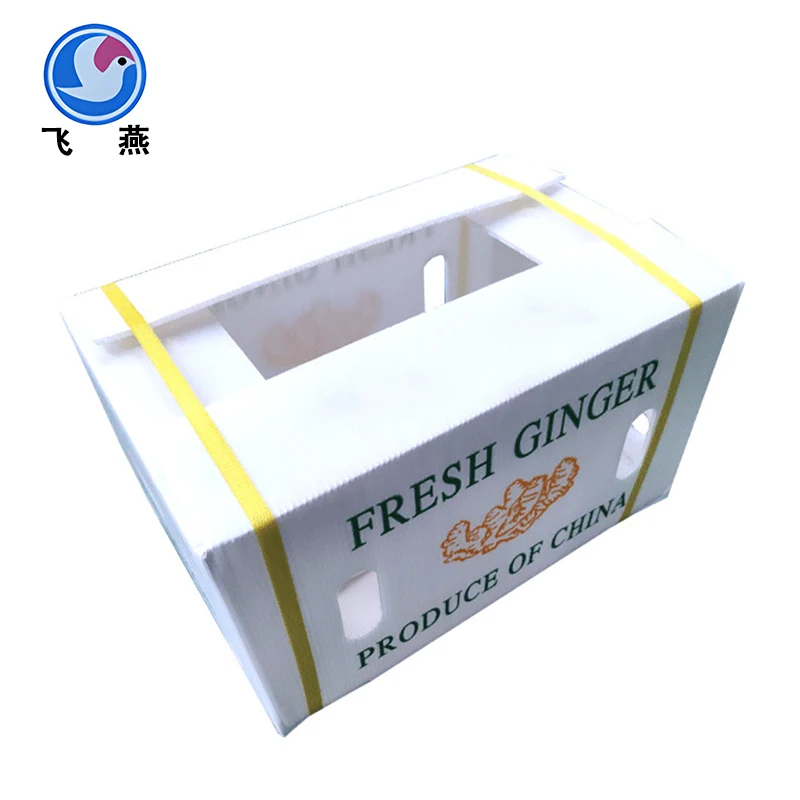 Caja de tablero hueco de plástico de calcio