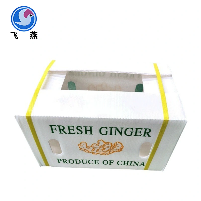 PP Box de refrescos de verduras